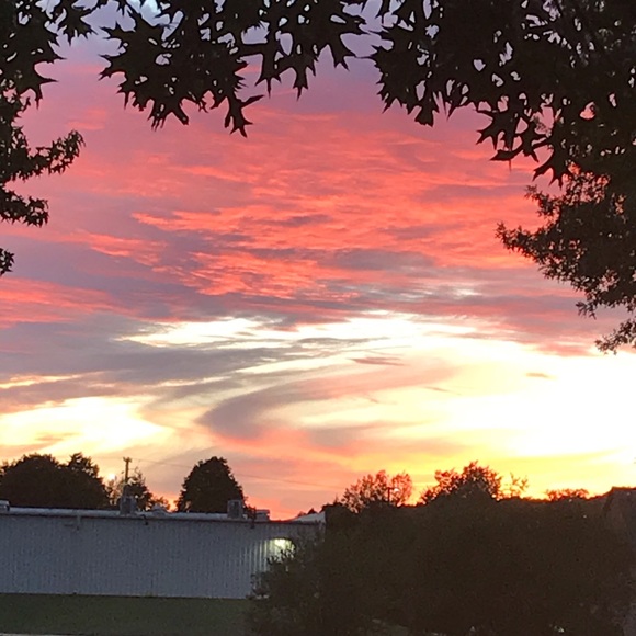 Meet your Posher, Crystal - Picture 1 of 1